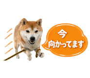 839176083