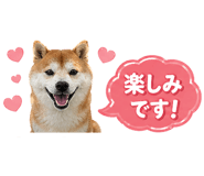 839176089