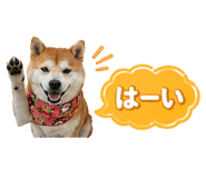 839176090