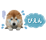 839176094