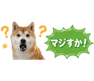839176096