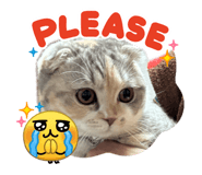 839181121