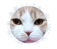 839181138
