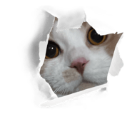 839181139