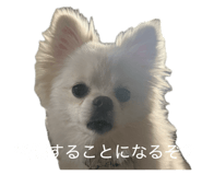 839181409