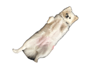 839181414