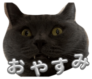 839182027