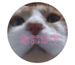 839182158