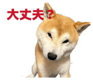 839182473