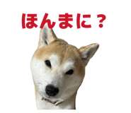 839182479