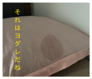 839182530