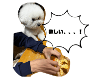 839182658