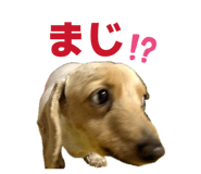 839182684