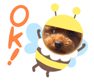 839182685