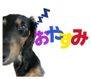 839182691