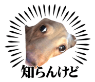 839182698
