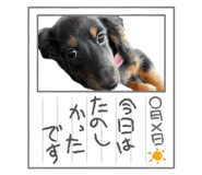 839182700