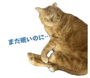 839182739