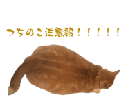 839182744