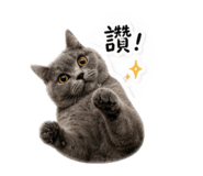 839183581