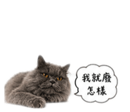 839183626