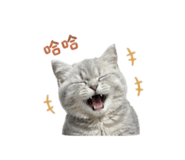 839183838