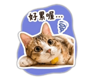 839184045