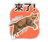 839184047