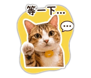 839184054