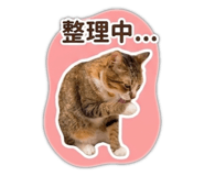 839184056