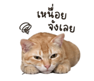 839187107
