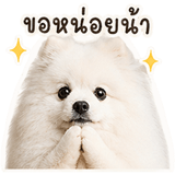 839187260