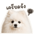 839187262