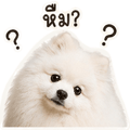 839187263