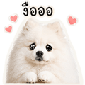 839187265