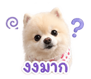 839188933