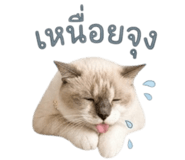 839189223