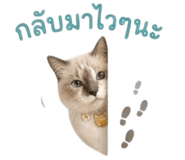 839189229
