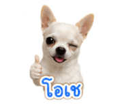 839189448