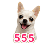 839189454