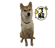 839189981