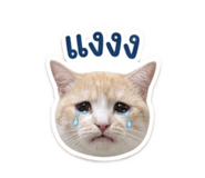 839190084