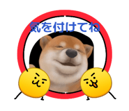 839190593