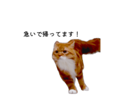 839190665