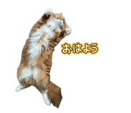 839190674