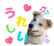 839191295