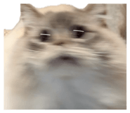 839191420
