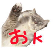 839191423