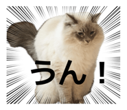 839191424