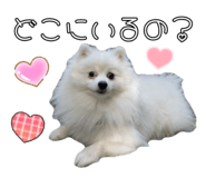 839196541